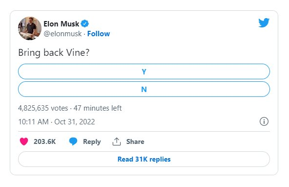 Elon Musk sẽ dùng Twitter để đại chiến... Tiktok? - Ảnh 1.