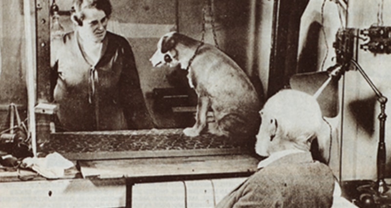 Con chó của Pavlov: Thử nghiệm cách mạng hóa tâm lý học - Ảnh 1.