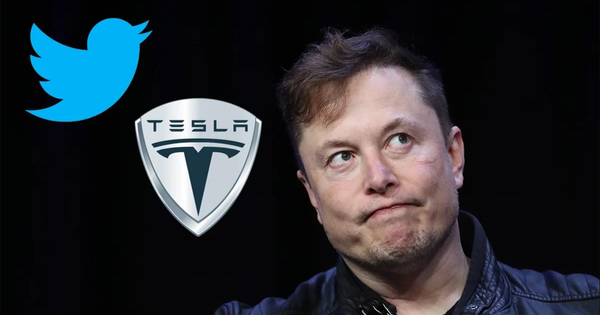 Cổ đông Tesla &quot;nổi đoá&quot; khi Elon Musk làm việc thâu đêm ở Twitter - Ảnh 1.