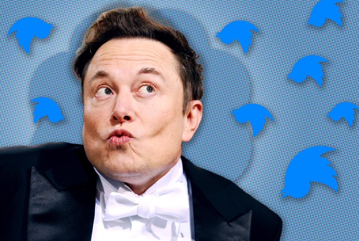 Cuộc tháo chạy của nhân viên Twitter khỏi đế chế Elon Musk - Ảnh 1.