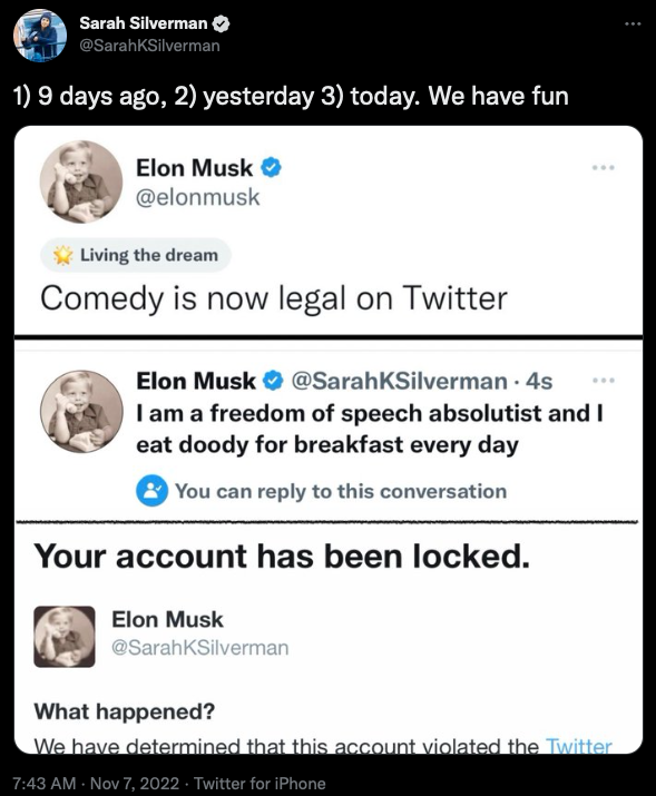 Elon Musk &quot;hàng giả&quot; mọc lên như nấm sau phi vụ Twitter bán tick xanh giá 8 USD - Ảnh 3.