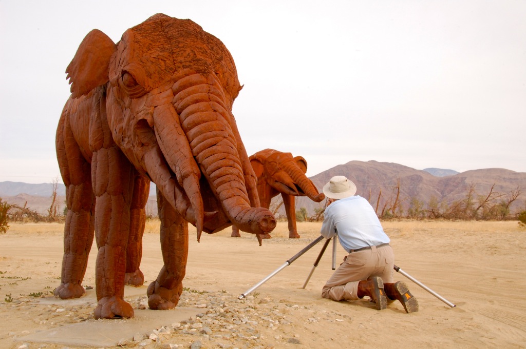Gomphotheres: Loài voi cổ đại sở hữu đến 4 chiếc ngà - Ảnh 3.