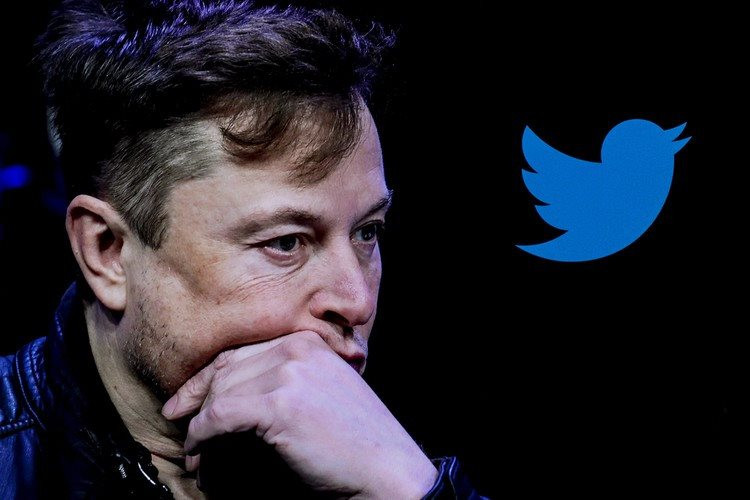 Elon Musk muốn từ bỏ vị trí CEO Twitter? - Ảnh 1.