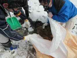 Thêm 8 con lợn rừng bỏ mạng tại hòn đá phong ấn cáo chín đuôi ở Nhật Bản, nhưng các nhà khoa học nói không bất ngờ - Ảnh 4.
