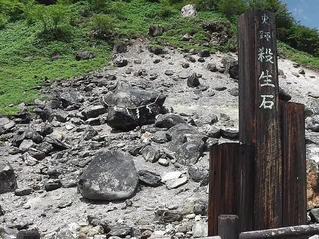 Thêm 8 con lợn rừng bỏ mạng tại hòn đá phong ấn cáo chín đuôi ở Nhật Bản, nhưng các nhà khoa học nói không bất ngờ - Ảnh 1.