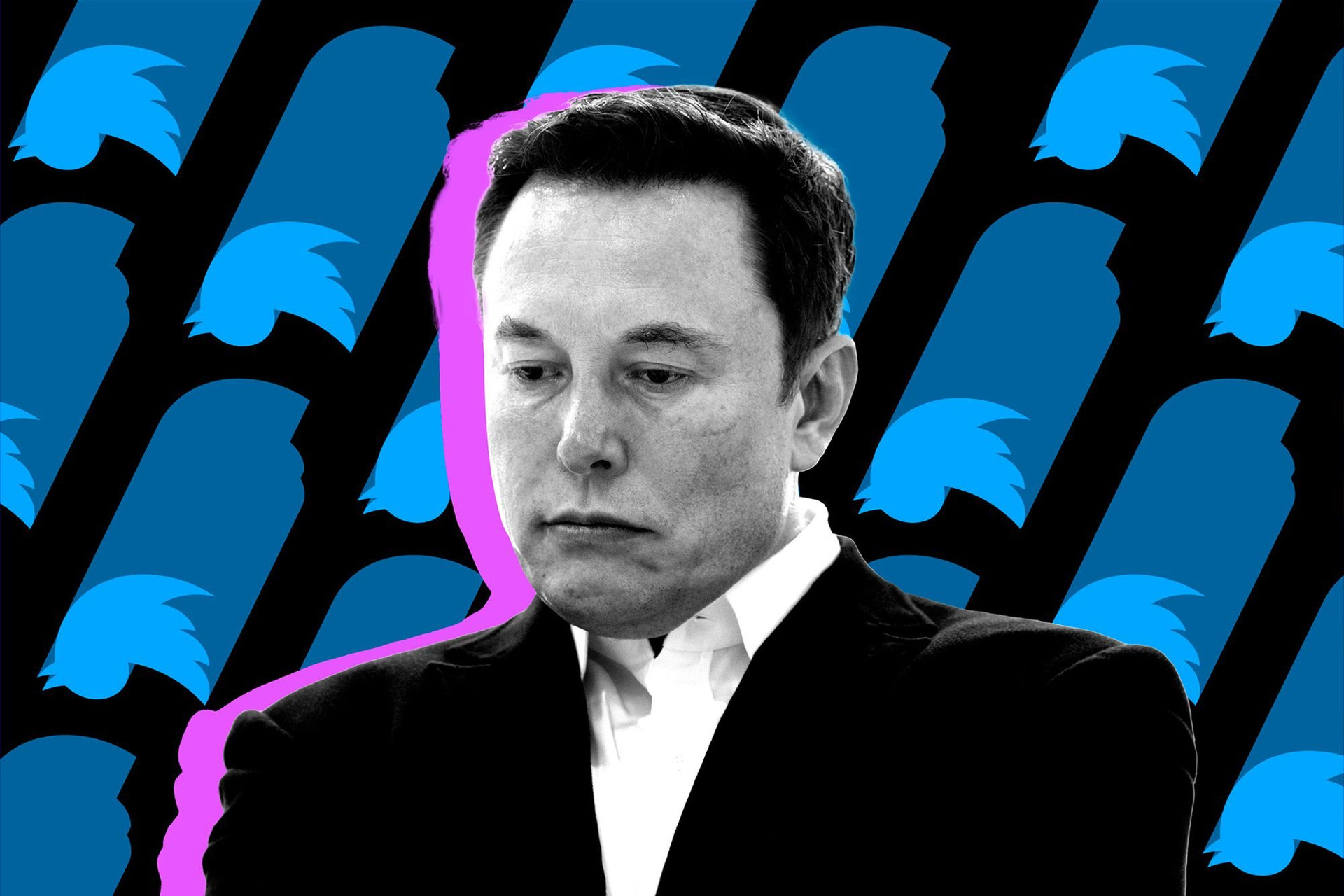 Elon Musk: ‘Tôi sẽ từ chức CEO Twitter khi tìm được ai đó đủ ngốc nghếch’ - Ảnh 2.