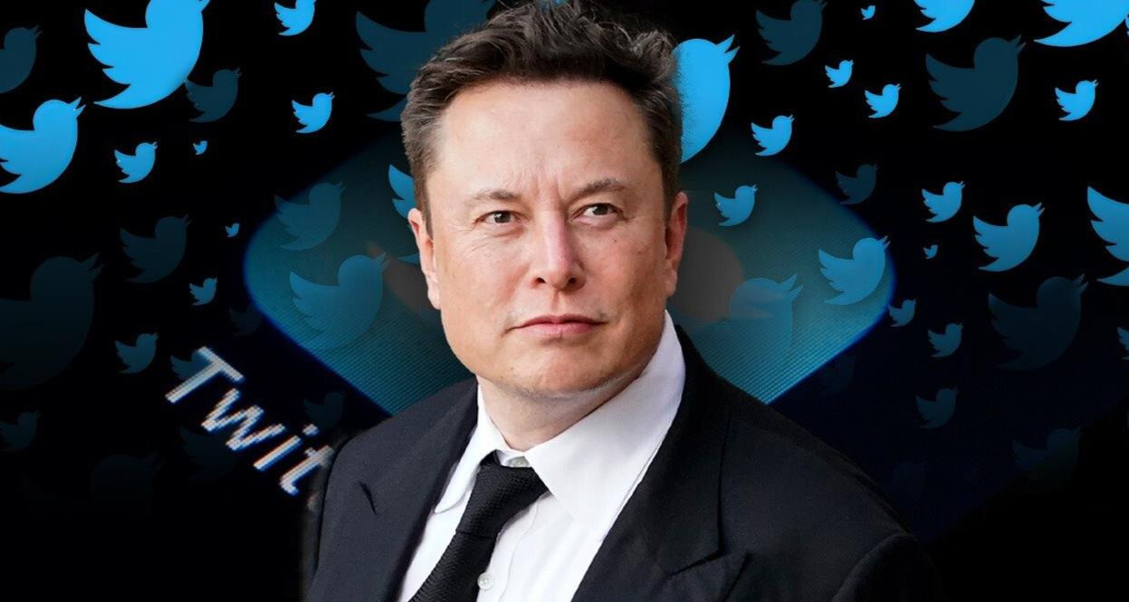 Elon Musk: ‘Tôi sẽ từ chức CEO Twitter khi tìm được ai đó đủ ngốc nghếch’ - Ảnh 1.