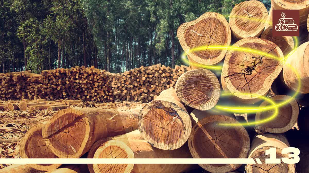 Nghiên cứu mới cho phép sản xuất gỗ bằng công nghệ in 3D, giúp dẹp bỏ nạn chặt phá rừng - Ảnh 1.