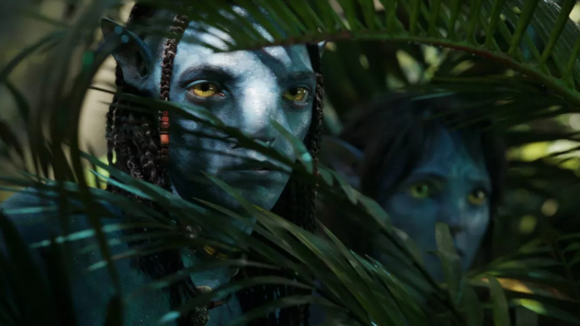 Sự thật về kỳ quan điện ảnh Avatar 2: Đạo diễn lặn 10km xuống lòng đại dương để tìm cảm hứng - Ảnh 2.