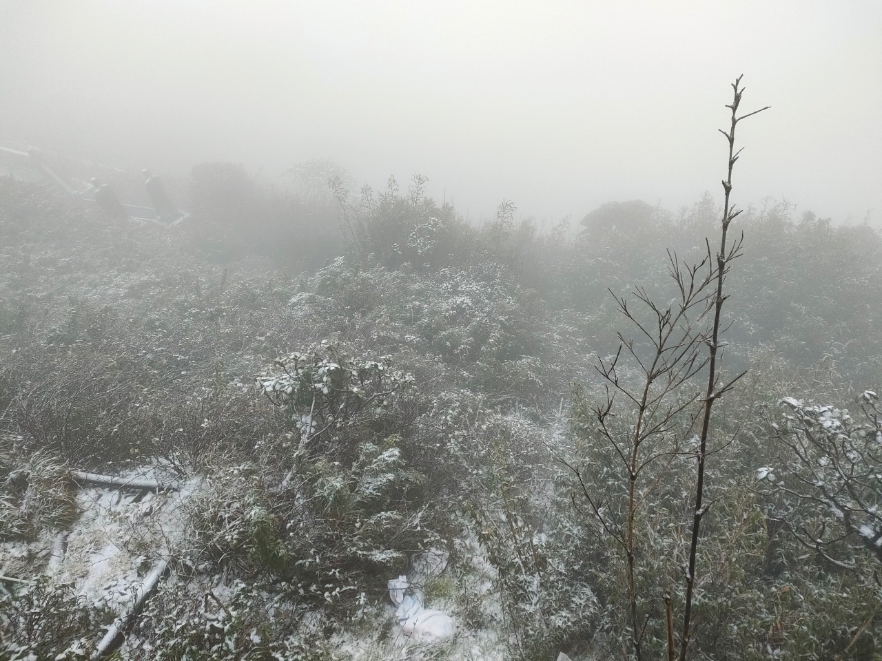 Xuất hiện tuyết rơi phủ trắng đỉnh Fansipan, khung cảnh đẹp huyền ảo như giữa trời Âu - Ảnh 13.