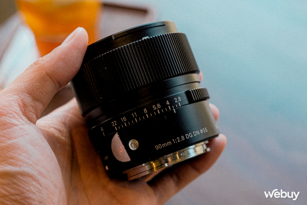 Săn hoa dã quỳ giữa lòng Hà Nội với ống kính Sigma 90mm f2.8 DG DN - Ảnh 2.