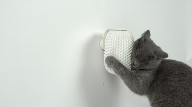 Chiều boss mèo thì hãy mua chiếc máy chải lông tự động đang gọi vốn tại Kickstarter này - Ảnh 3.