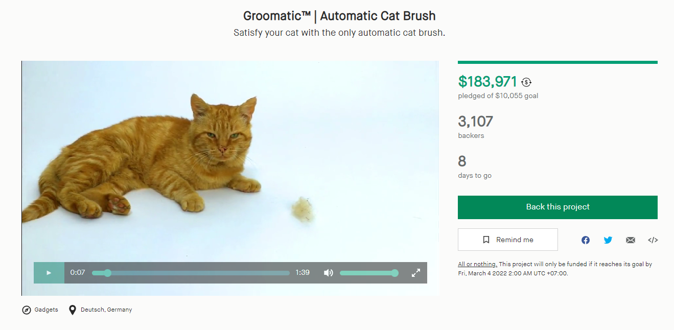 In the afternoon of the cat boss, buy an automatic grooming machine that is calling for capital at this Kickstarter - Photo 10.