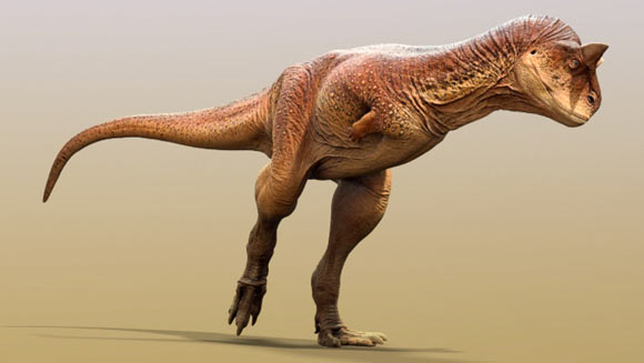 image_10578_1-Carnotaurus-sastrei.jpg