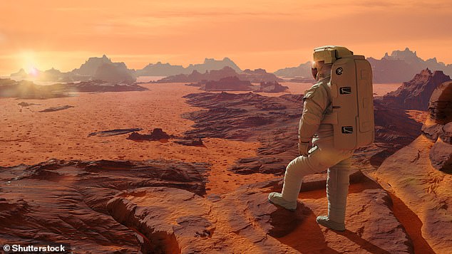 "Người sao Hỏa" trong tương lai sẽ phải chấp nhận chế độ ăn thuần chay - Ảnh 5.