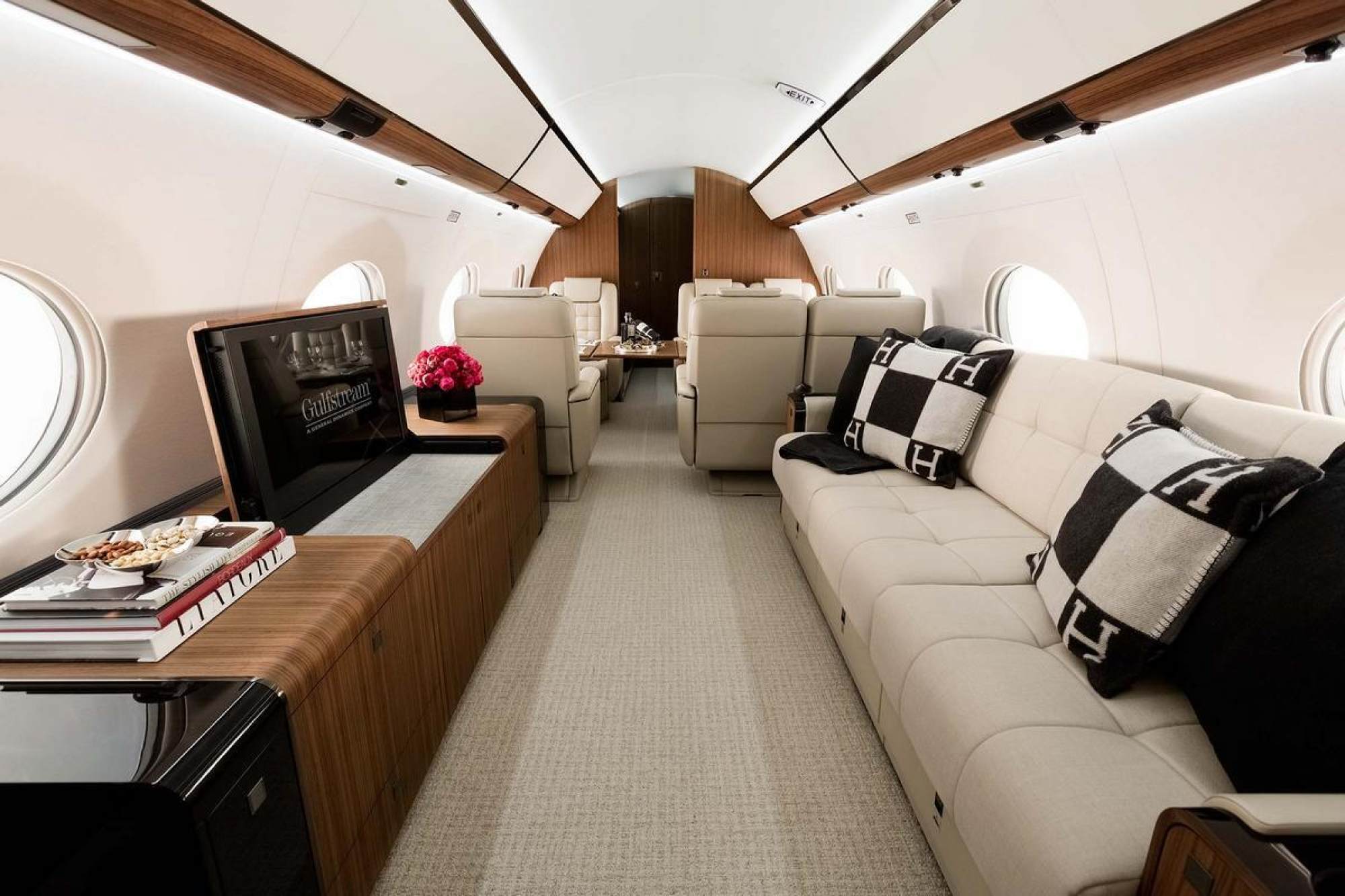 Unbelievable luxury inside the billionaire's $70 million private jet at home rented Elon Musk - Photo 2.