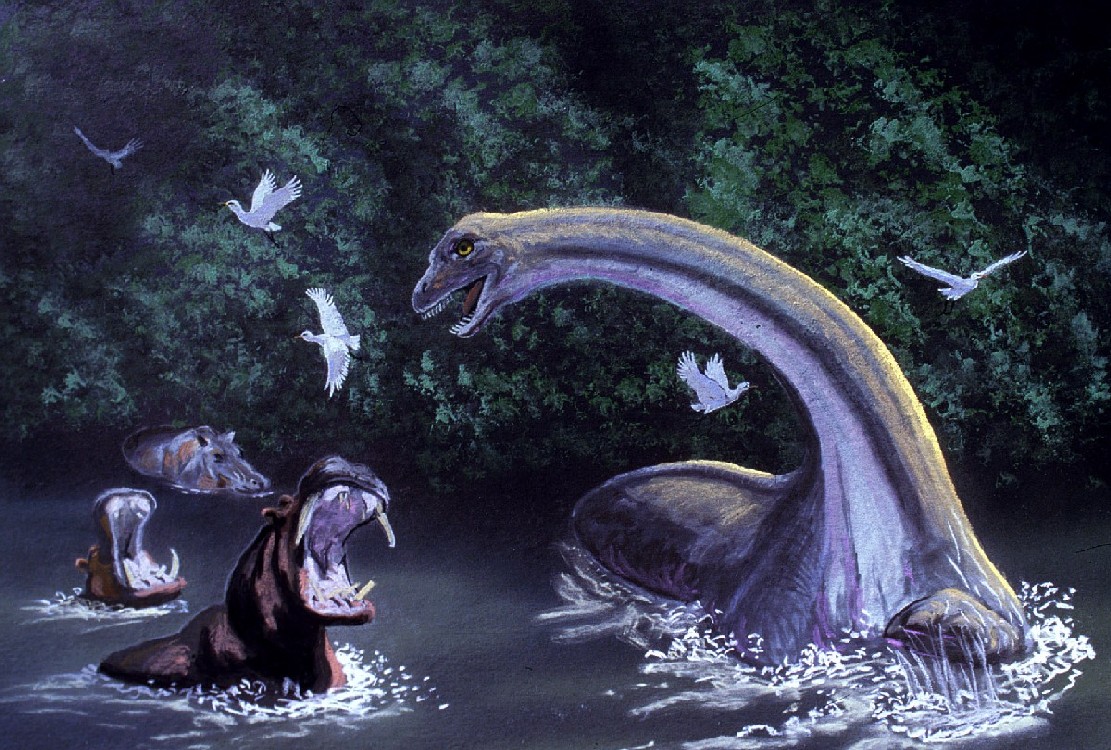 Mokele-Mbembe: Monsters lurking in the jungles of Africa?  - Photo 1.