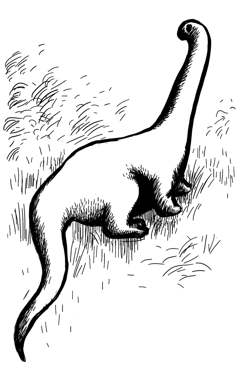 Mokele-Mbembe: Monsters lurking in the jungles of Africa?  - Photo 4.