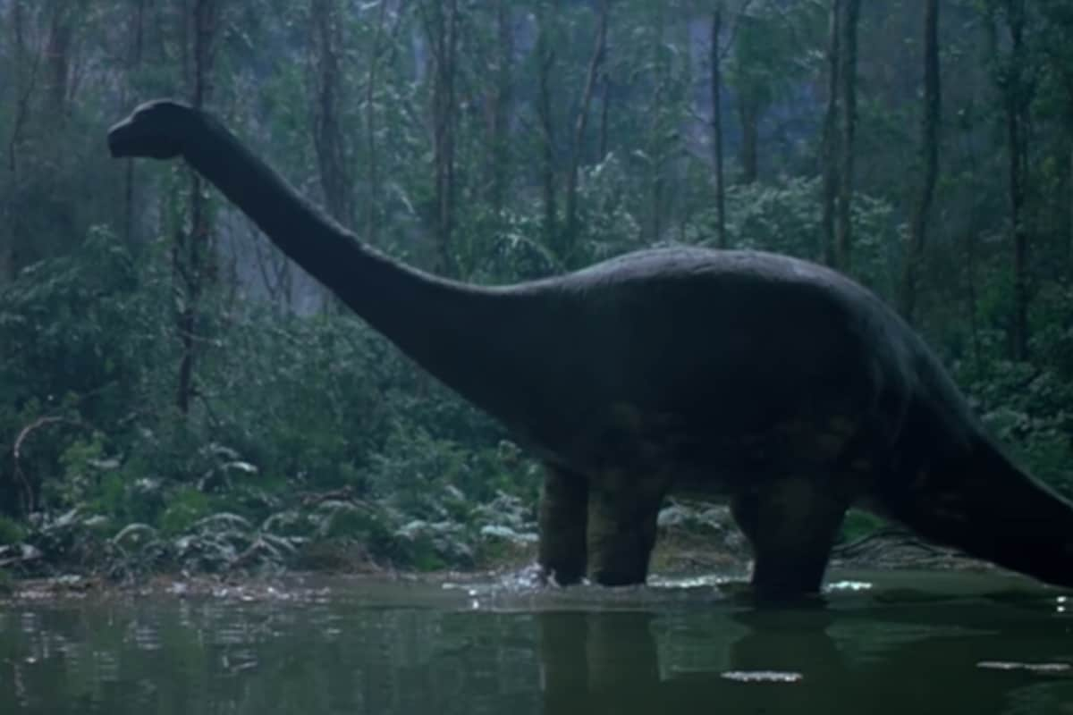 Mokele-Mbembe: Monsters lurking in the jungles of Africa?  - Photo 3.