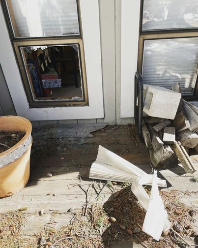 An American bear constantly breaks into people's houses, eats so much leftovers that it becomes fat, and forgets about hibernation - Photo 5.