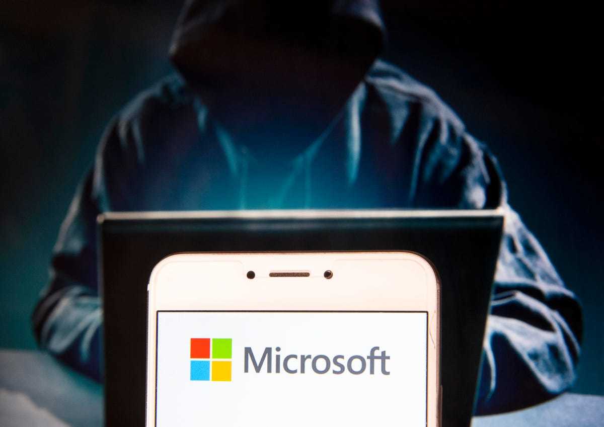 Bộ não đứng sau nhóm hacker tấn công Microsoft mới 16 tuổi? - Ảnh 1.