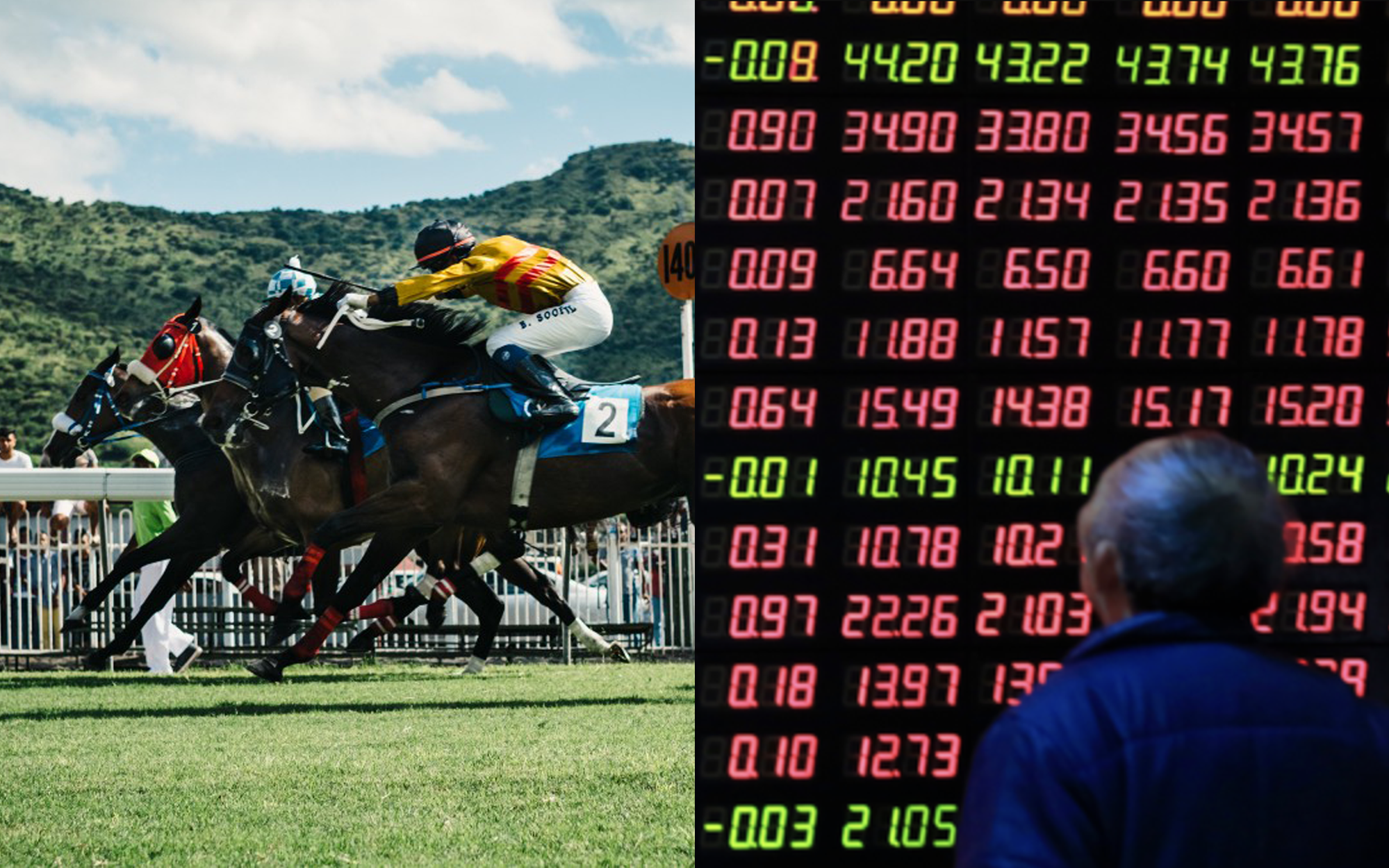 The difference between horse racing betting and stock investment - Photo 1.