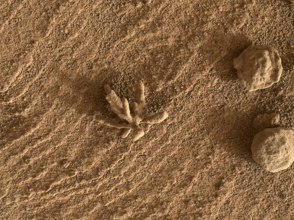 Tàu Curiosity Rover của NASA tìm thấy 'San hô' trên sao Hỏa - Ảnh 1.