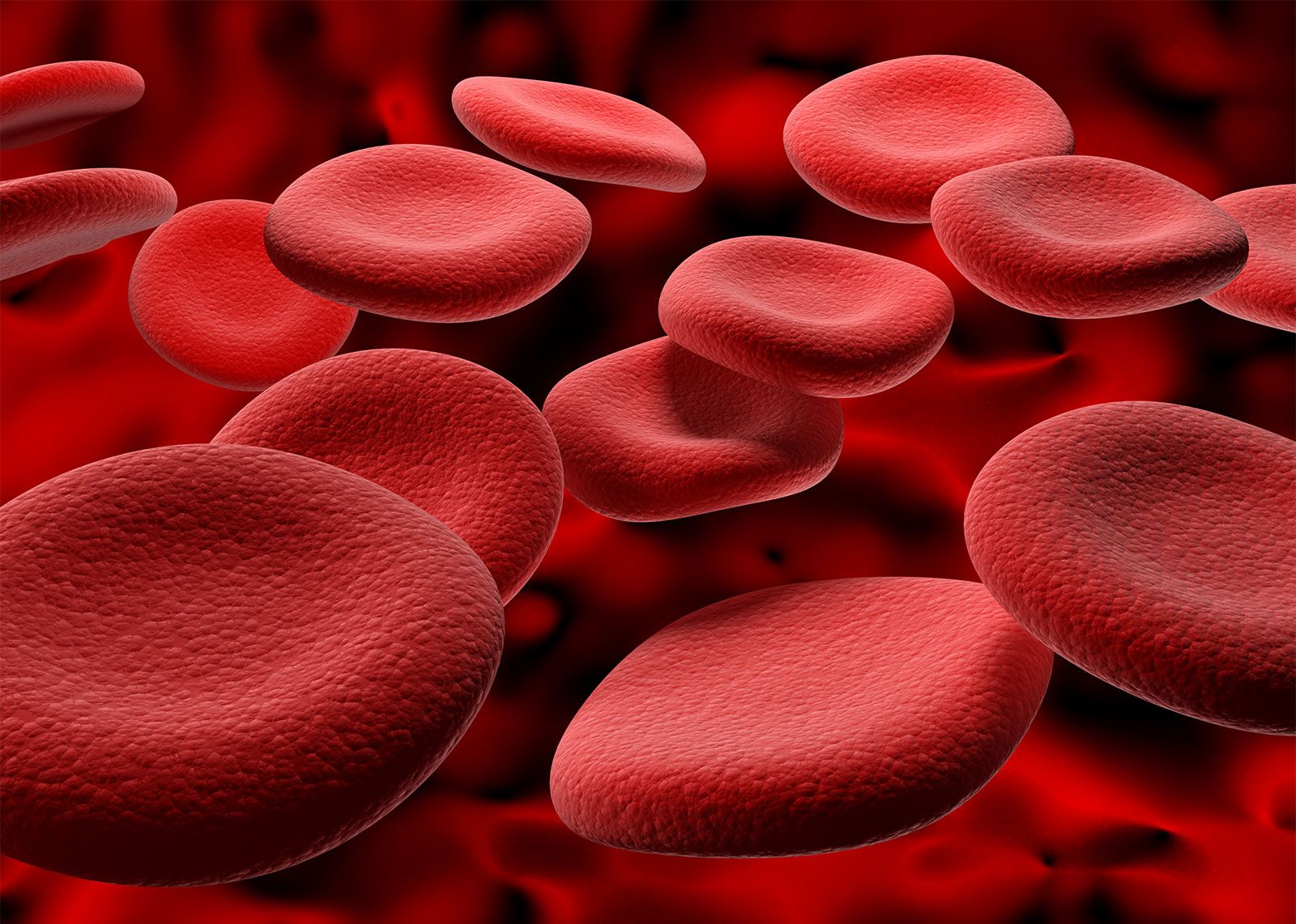 Why do we have different blood types?  - Photo 3.