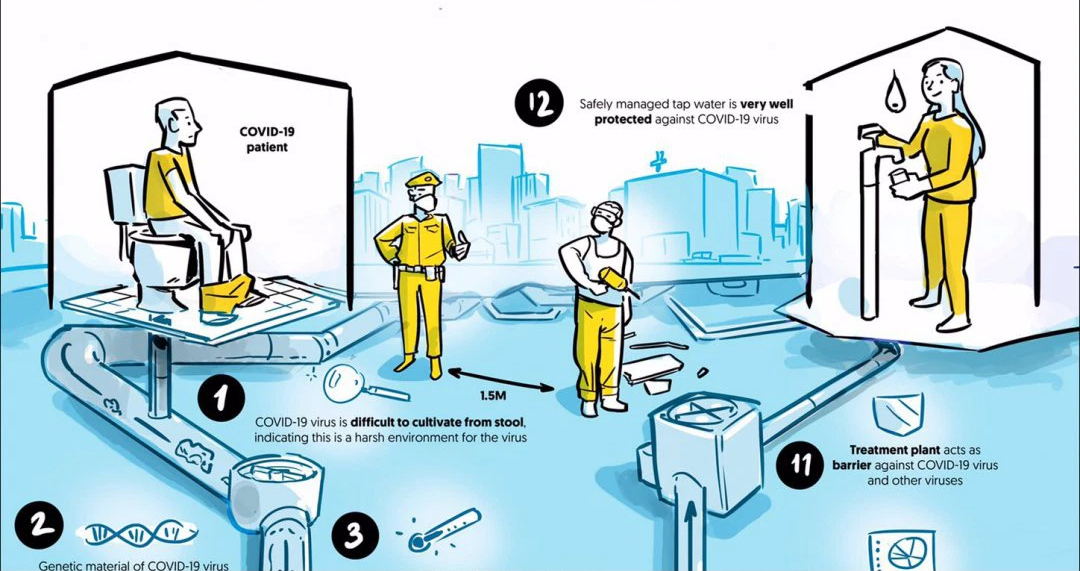 Faeces don't lie: Wastewater testing helps prevent COVID-19 and future pandemics - Photo 1.