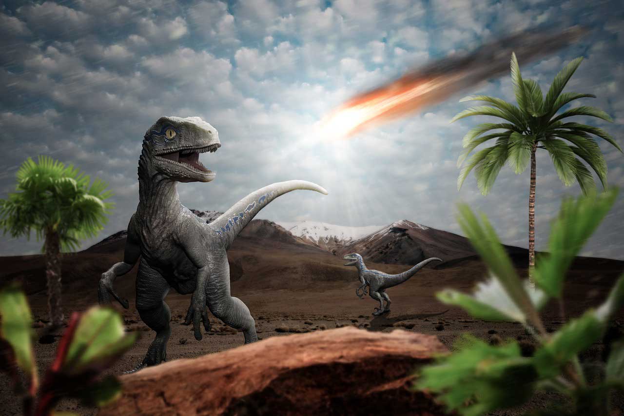 Con khủng long này đã chết vào đúng ngày tiểu hành tinh Chicxulub đâm vào Trái Đất - Ảnh 7.