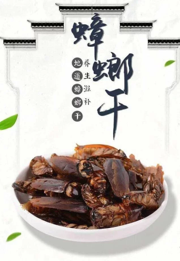 Cockroaches are becoming a favorite food for Chinese people - Photo 6.