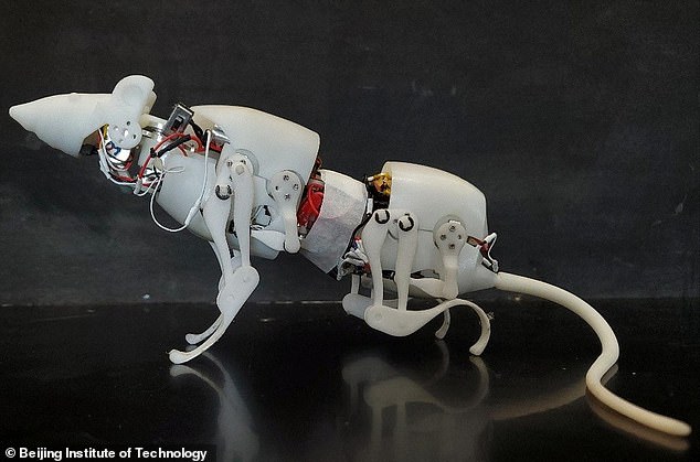 Chinese scientists have created a mouse robot that can move like a real thing and is still super strong - Photo 1.