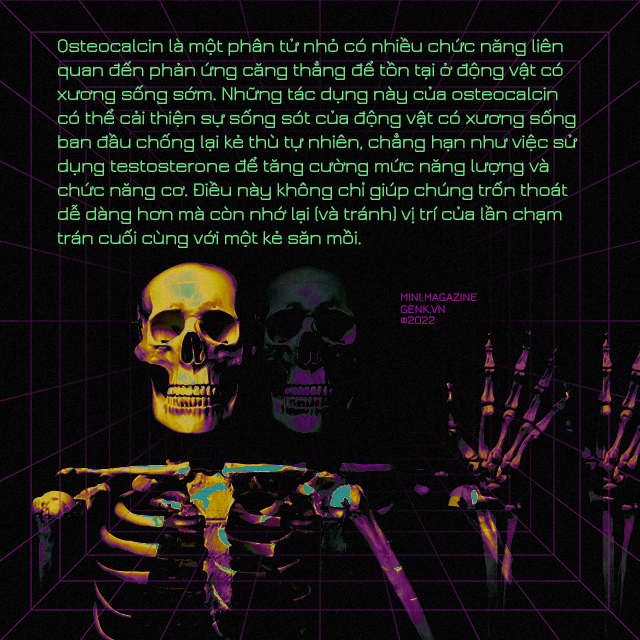 [mini]  The language of skeletons and unknown interesting things - Photo 4.