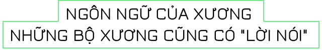 [mini] Ngôn ngữ của những bộ xương và những điều thú vị chưa biết - Ảnh 2.