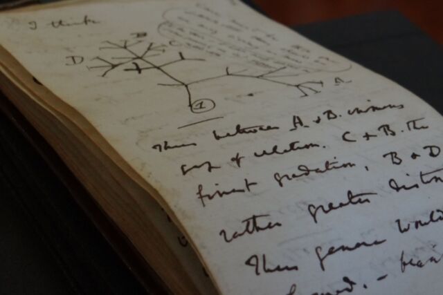 After 20 years of wandering, 2 priceless Charles Darwin's notebooks were mysteriously returned to the Cambridge University Library - Photo 3.