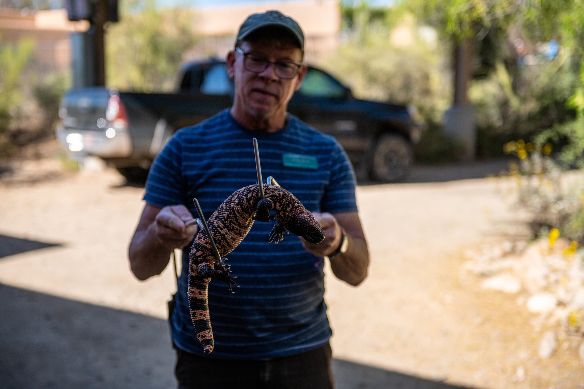 Each milliliter of scorpion venom sells for 230 million VND, and here's why it's worth it - Photo 7.