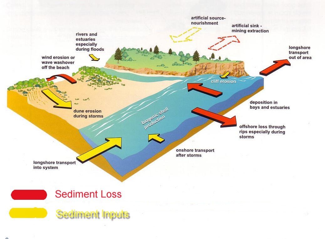 Why does climate change cause sea levels to rise, but these beaches do not sink but expand?  - Photo 3.