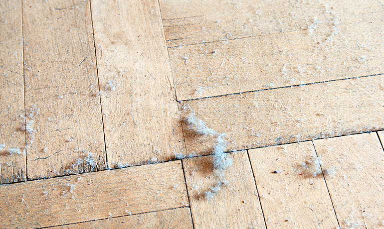 Why is the house never free of dust?  Here's the reason!  - Photo 3.
