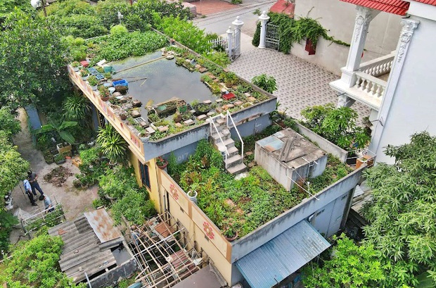   An 87-year-old man willing to play with a pond on the roof and grow vegetables and fish: Many people say I am reckless - Photo 1.