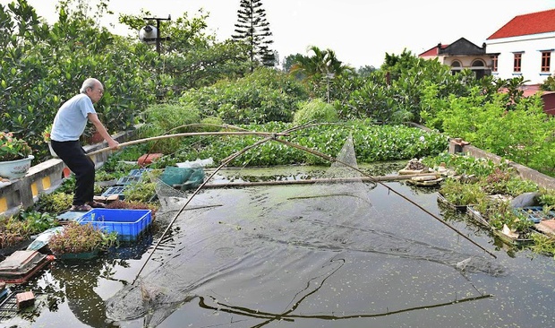   An 87-year-old man willing to play with a pond on the roof and grow vegetables and fish: Many people say I am reckless - Photo 3.