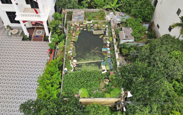   An 87-year-old man willing to play with a pond on the roof and grow vegetables and fish: Many people say I am reckless - Photo 5.