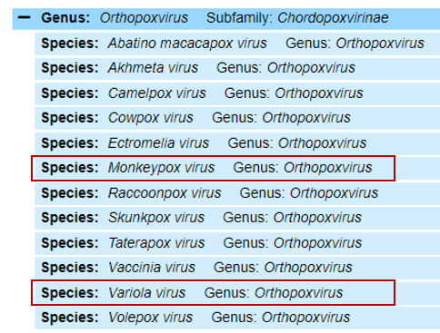 Bệnh đậu mùa khỉ do virus MPXV bùng phát ở Châu Âu, đây là những gì bạn cần biết - Ảnh 2.