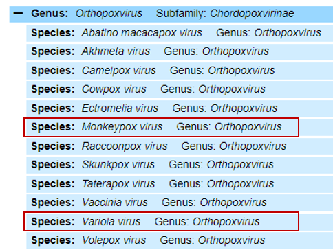 Monkeypox caused by MPXV virus broke out in Europe, here's what you need to know - Photo 2.