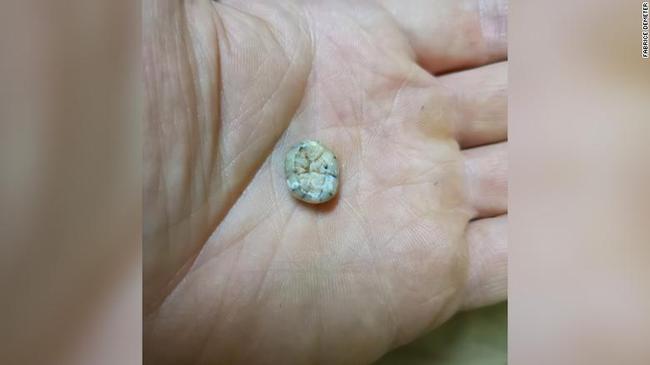 Discovering a 130,000-year-old baby tooth on the mountain, archaeologists were surprised about the ancient human past in Southeast Asia - Photo 1.