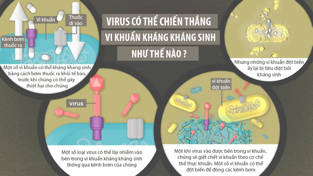 Mỹ thử nghiệm một loại virus chữa ung thư: Khi mầm bệnh trở thành liều thuốc sống - Ảnh 4.