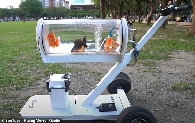 YouTuber thiết kế bể cá di động để có thể dắt những con cá vàng cưng của mình đi dạo - Ảnh 1.