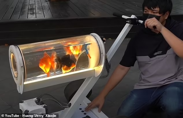 YouTuber thiết kế bể cá di động để có thể dắt những con cá vàng cưng của mình đi dạo - Ảnh 2.