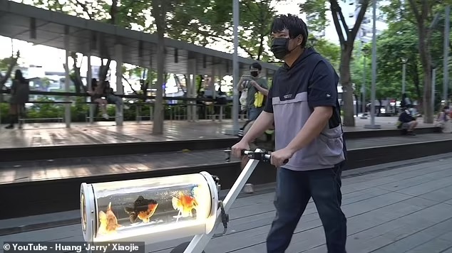 YouTuber thiết kế bể cá di động để có thể dắt những con cá vàng cưng của mình đi dạo - Ảnh 3.