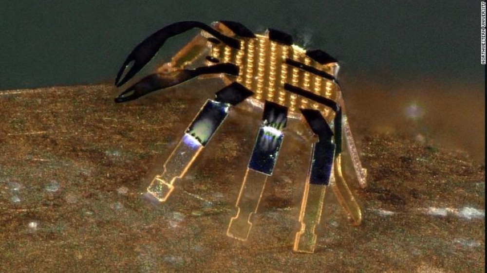 Robot điều khiển từ xa nhỏ nhất thế giới - Ảnh 1.