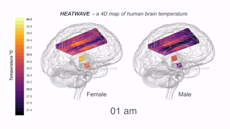 Não của bạn có thể nóng lên tới 41 độ C nếu bạn suy nghĩ nhiều - Ảnh 5.